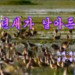 MDB는 호재가 저절로 찾아오는 기업이다.