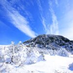 한중엔시에스, VRT의 시원한 떡상