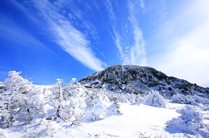 한중엔시에스, VRT의 시원한 떡상